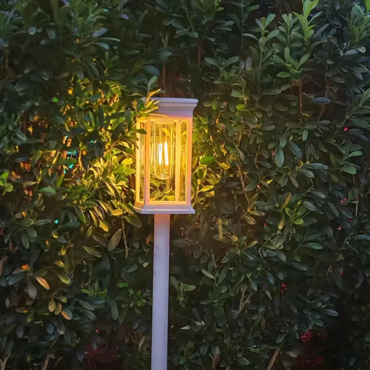 Waterproof LED Solar Lights for Garden Yard Driveway -  Outdoor Landscape Lighting Auto On/Off
