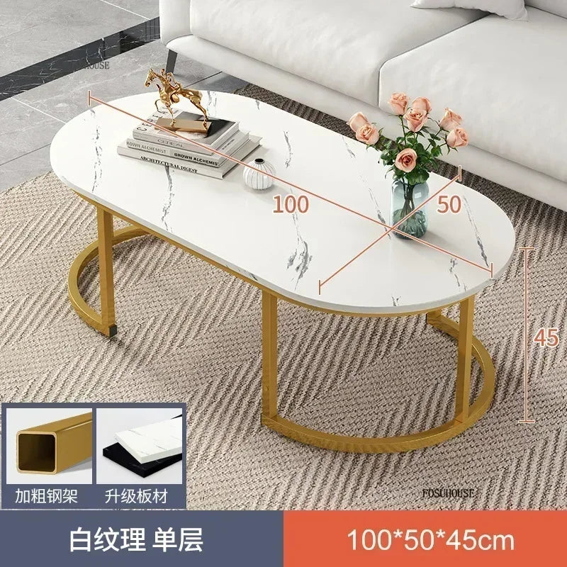 Minimalist Storage Oval  Modern Design Coffee Table