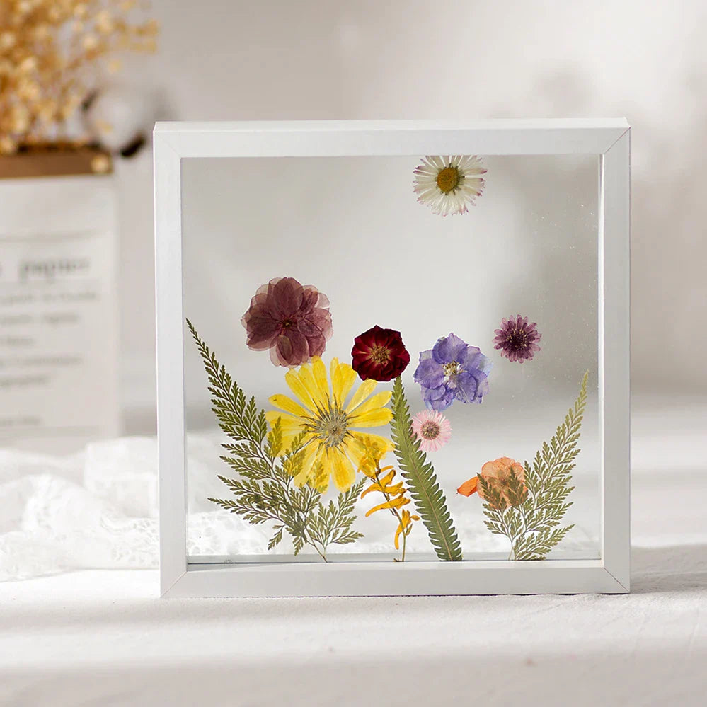 Wood Specimen Frame With Real Glass