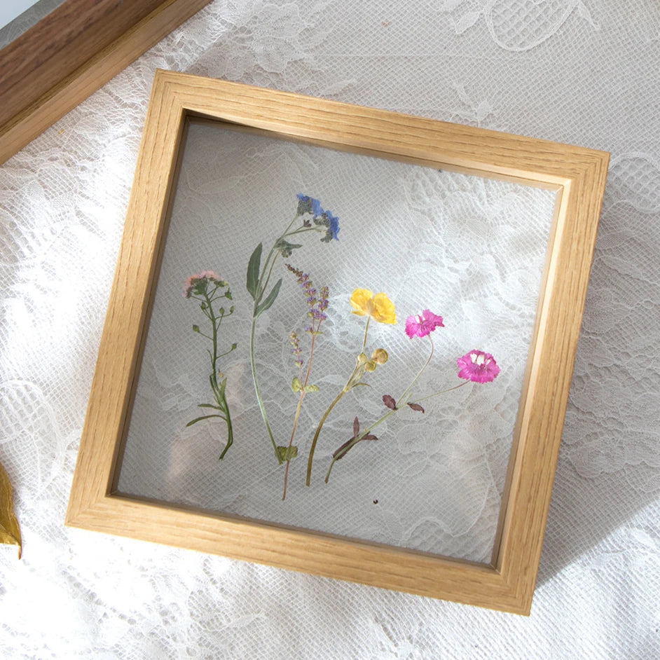 Wood Specimen Frame With Real Glass