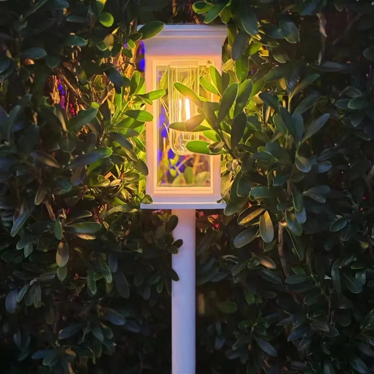 Waterproof LED Solar Lights for Garden Yard Driveway -  Outdoor Landscape Lighting Auto On/Off