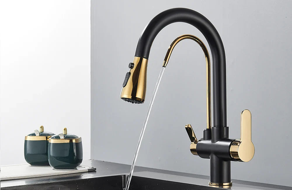 Quyanre Matte Black Filtered Crane For Kitchen Pull Out Spray 360 Rotation Water Sink Mixer Kitchen Faucet
