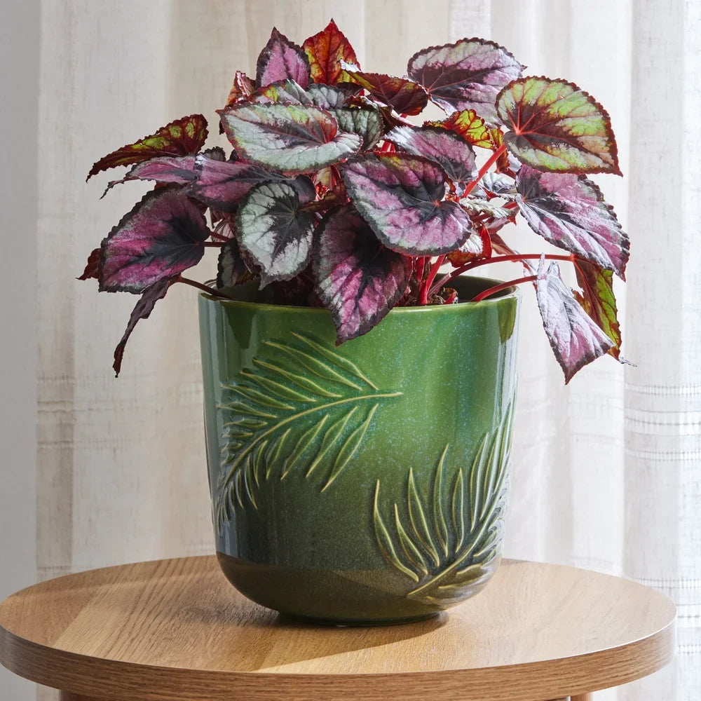 8 Inch Embossed Ceramic Planter with Drainage