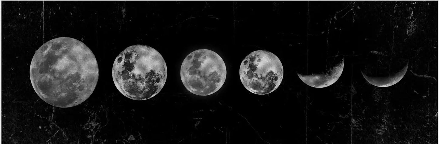 Wall Art Moon Phase  Canvas Art Prints
