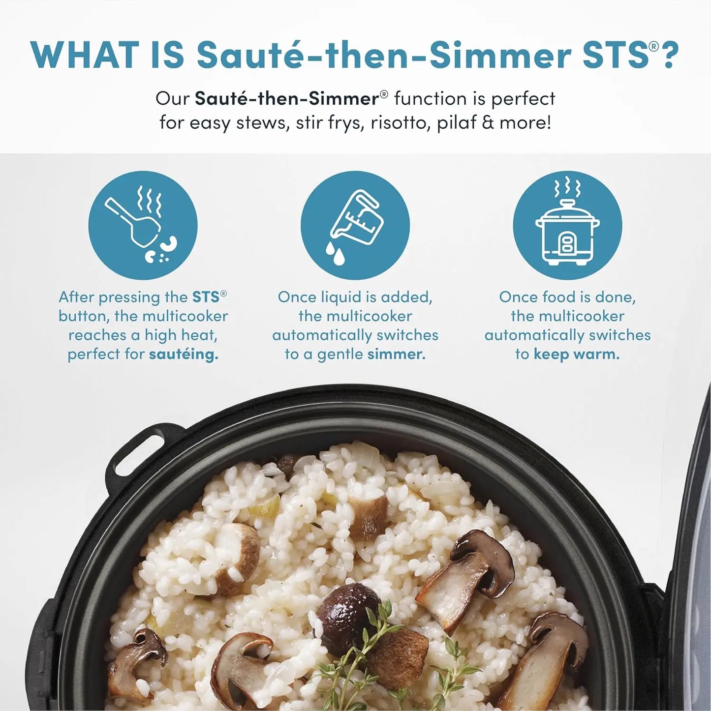 4-Cup Digital Rice Cooker & Multicooker with Steamer, Slow Cook 2 Qt Stainless Steel