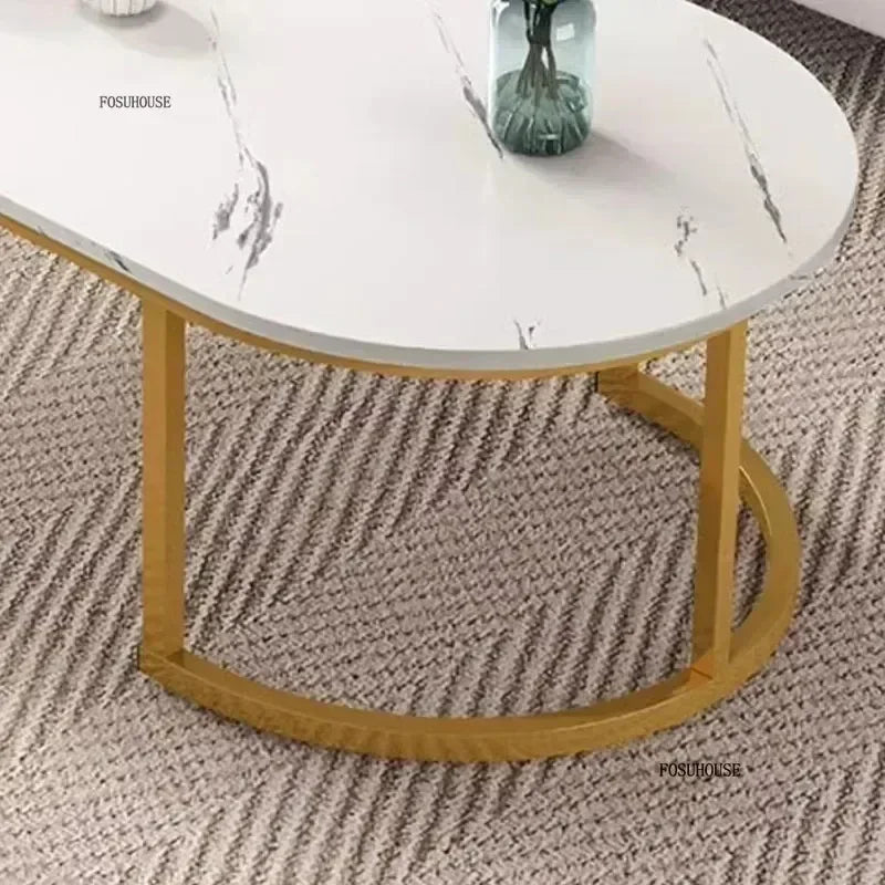 Minimalist Storage Oval  Modern Design Coffee Table