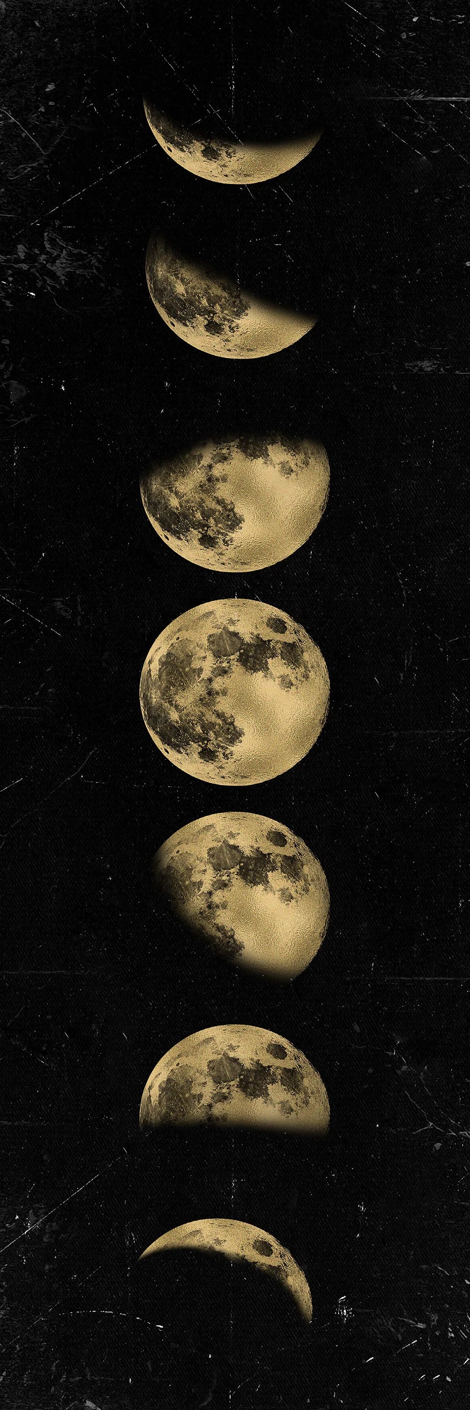 Wall Art Moon Phase  Canvas Art Prints