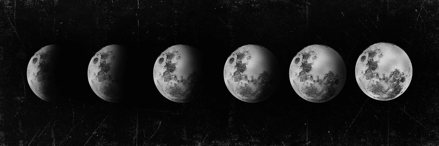 Wall Art Moon Phase  Canvas Art Prints