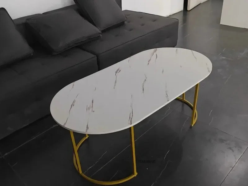 Minimalist Storage Oval  Modern Design Coffee Table