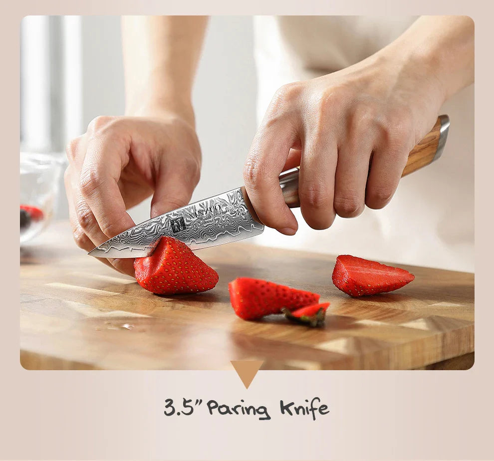 XINZUO 1-8pcs Kitchen Knife Set 73 Layers Custom Damascus Steel  with Olive Wood Handle