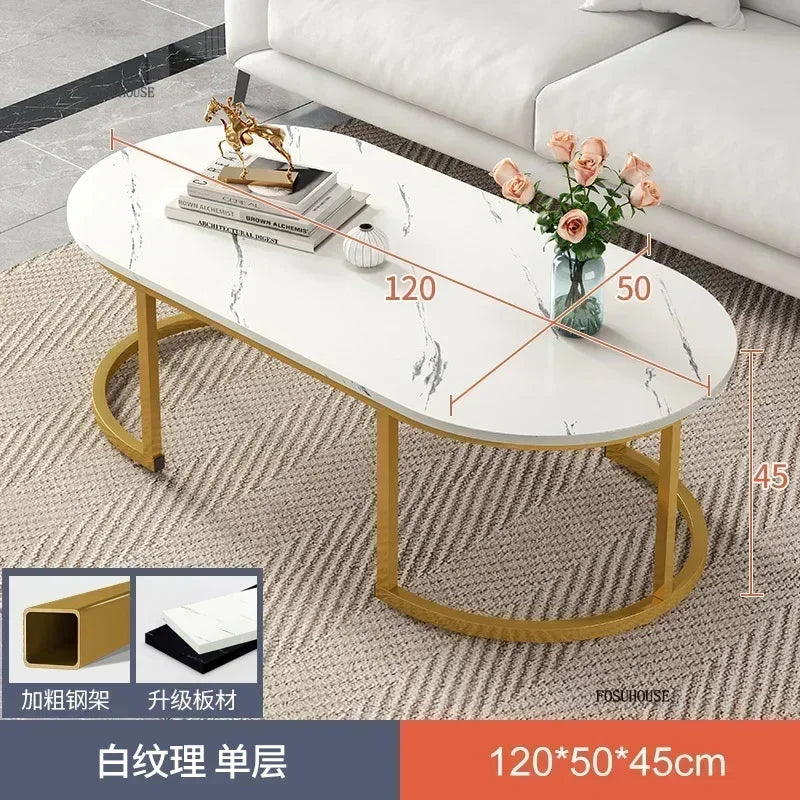 Minimalist Storage Oval  Modern Design Coffee Table
