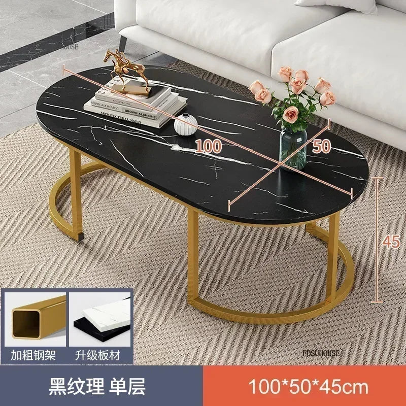 Minimalist Storage Oval  Modern Design Coffee Table