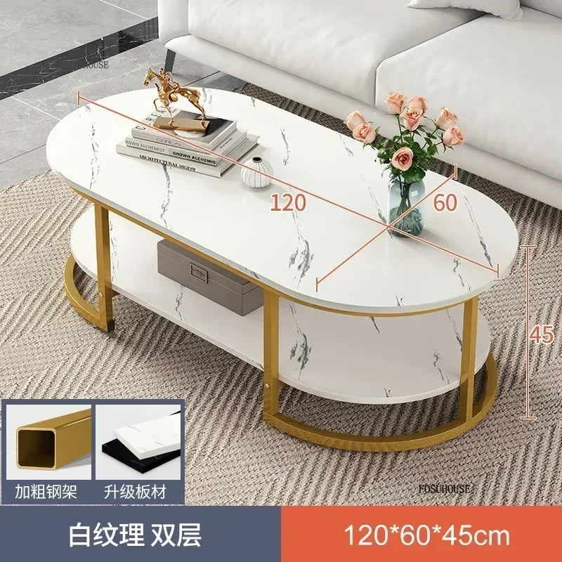 Minimalist Storage Oval  Modern Design Coffee Table